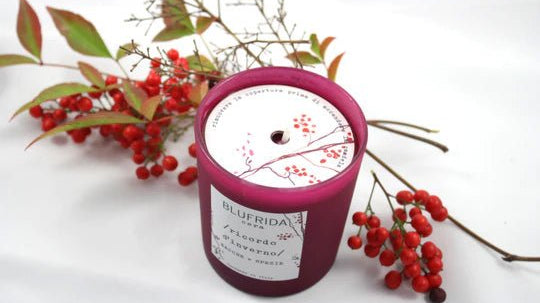 Profumo di casa - Frida SRL