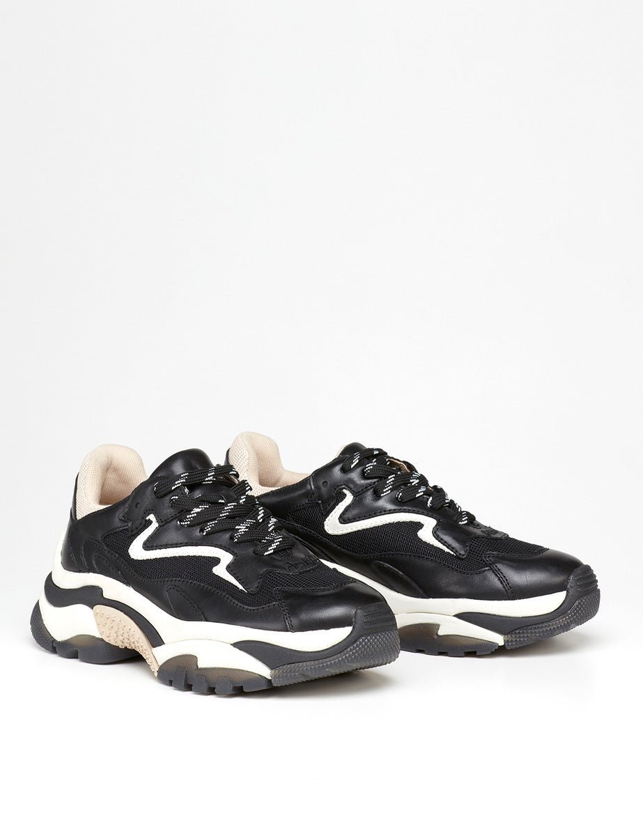 sneakers black pristine eggnug - ash - sneaker