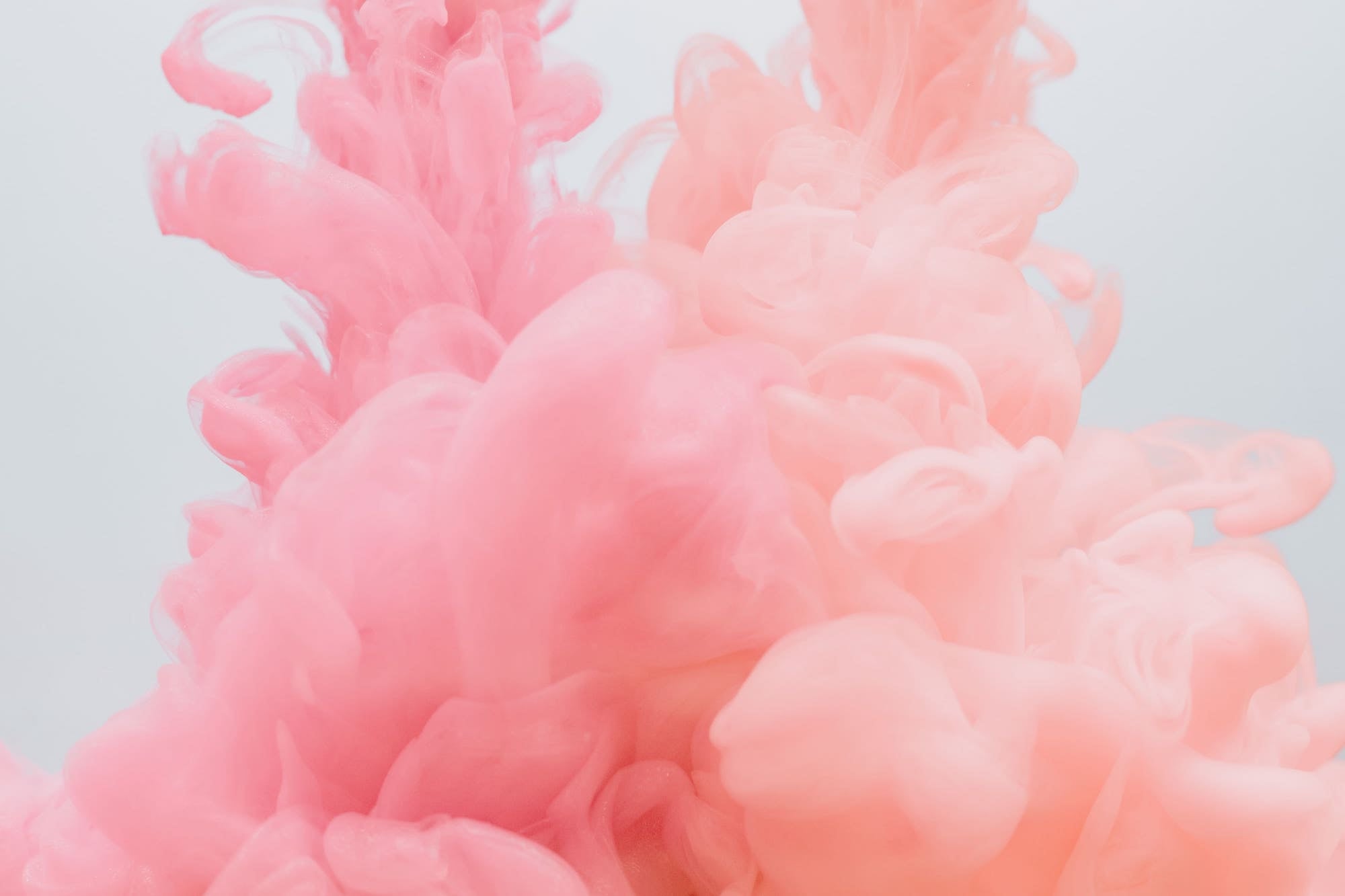 Trend autunno inverno: i colori della moda 2021-2022 - Frida SRL