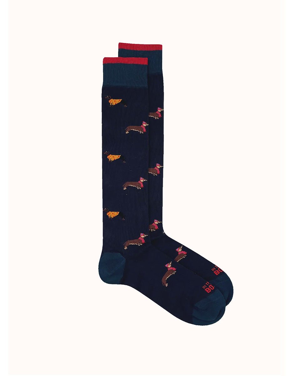 calze bassotto blu navy - in the box - calze