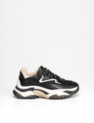 sneakers black pristine eggnug - ash - sneaker