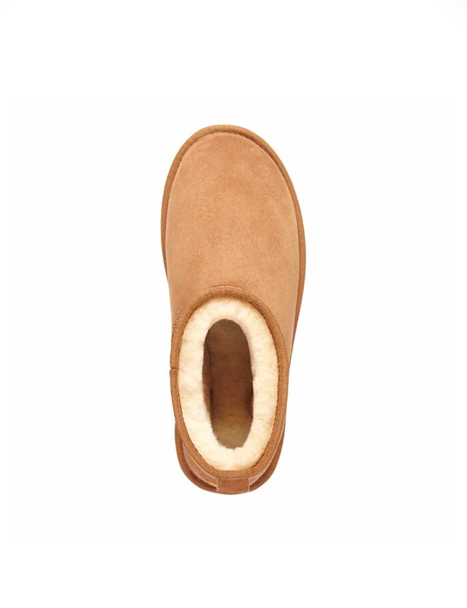 stivaletto stinger chestnut - emu - stivaletto