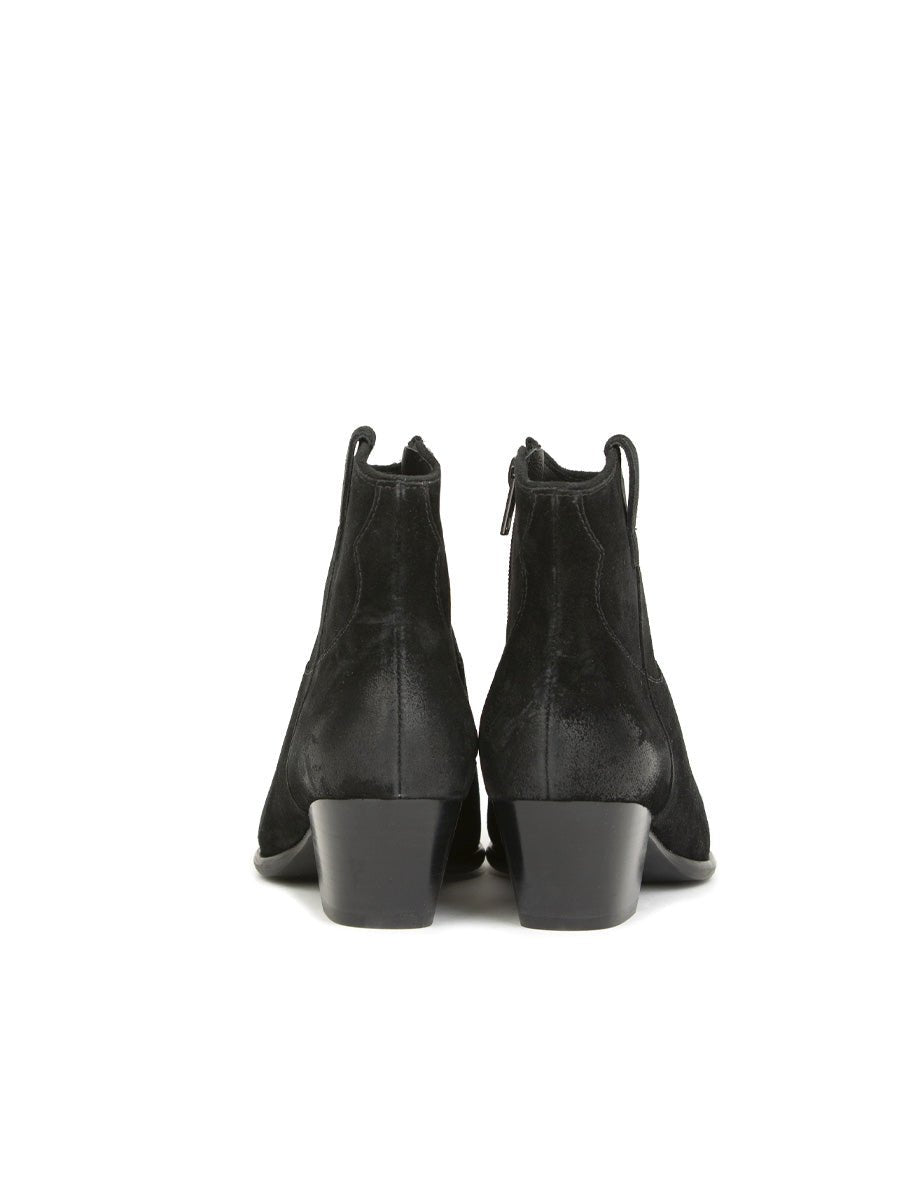texano suede velours black - ash - stivaletto